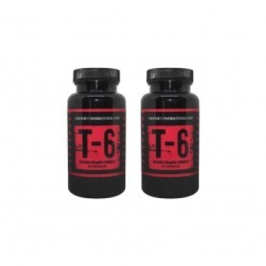 ZION LABS T-6 60 kapsul 2x Zion Labs